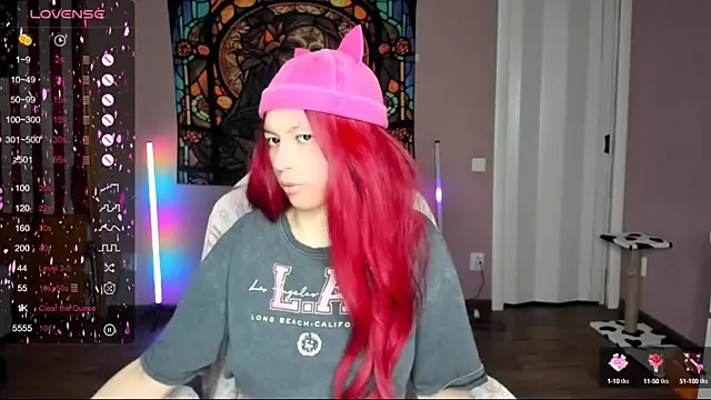 Project hisoka online show from 10, 3, 2025