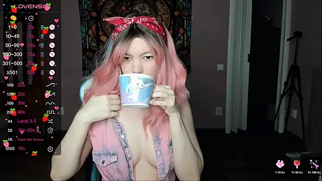 Project hisoka online show from 11, 4, 2026