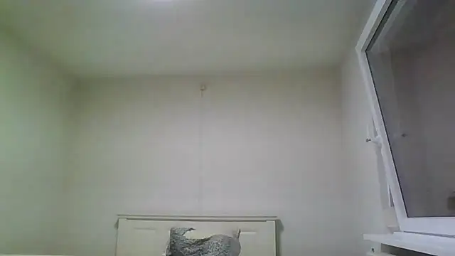 Wesleymodel online show from 10, 2, 2026