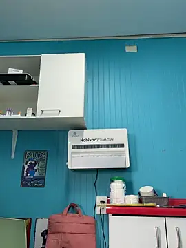 Reinacatchile online show from 3, 2, 2026