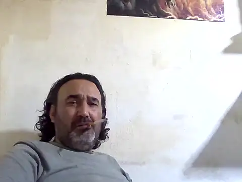 enginbasar online show from 31, 3, 2026