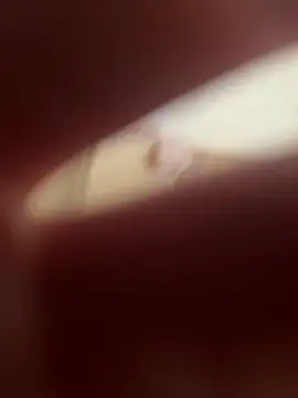 Kemenyfasz93 online show from 9, 3, 2025