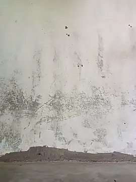 Yasha 14C Creator online show from 13, 10, 2025