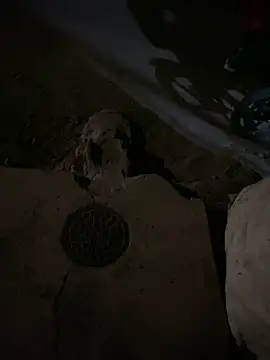 nowex18 online show from 6, 3, 2025