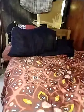 Stallion100 online show from 12, 2, 2025