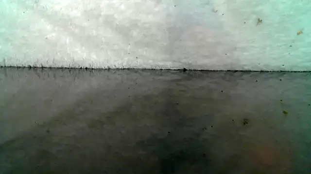 Snapshot of 0815lukas2024 chatting on 22, 10, 2025 0815lukas2024 online show from 22, 10, 2025