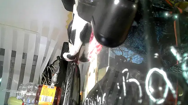 Snapshot of 0815lukas2024 chatting on 9, 9, 2025 0815lukas2024 online show from 9, 9, 2025