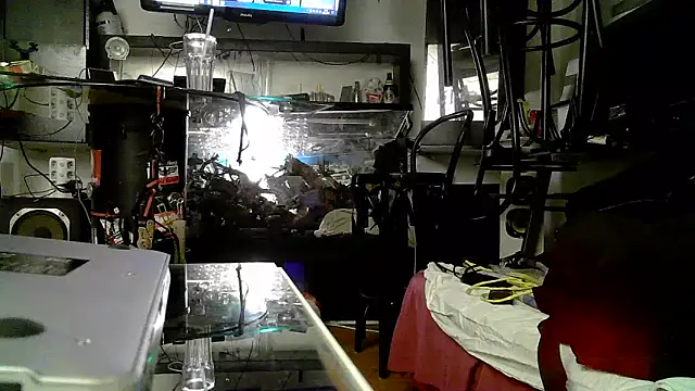 Snapshot of 0815lukas2024 chatting on 3, 11, 2025 0815lukas2024 online show from 3, 11, 2025