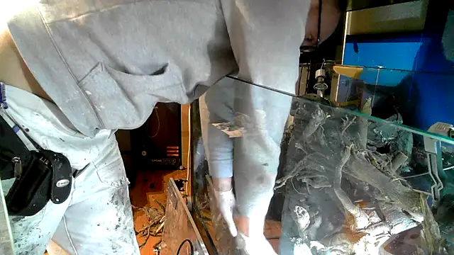 Snapshot of 0815lukas2024 chatting on 19, 10, 2025 0815lukas2024 online show from 19, 10, 2025