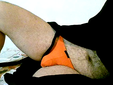 pollarikaaa online show from 26, 9, 2025