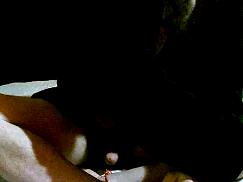 pollarikaaa online show from 3, 1, 2025