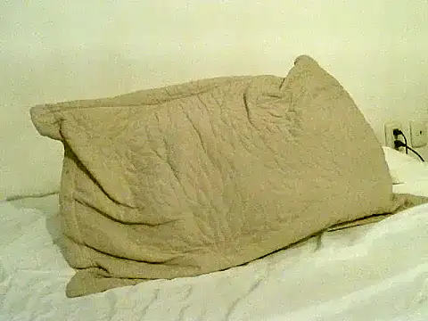 pollarikaaa online show from 6, 11, 2025