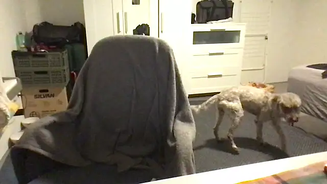 Snapshot of Totipro69 chatting on 16, 2, 2025 Totipro69 online show from 16, 2, 2025