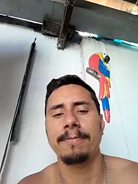 luissilva0071 online show from 4, 2, 2025