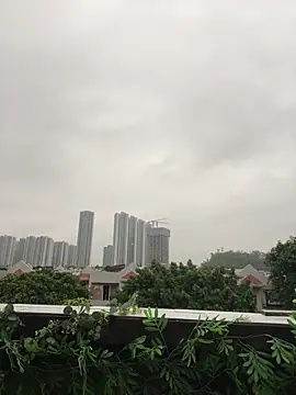 Eliza-E online show from 6, 4, 2026