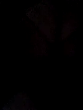 hugebobbs online show from 16, 3, 2026