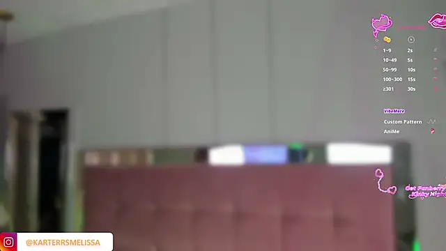 Snapshot of MelissaKarterrs chatting on 13, 2, 2026 MelissaKarterrs online show from 13, 2, 2026