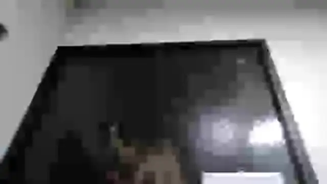 mmmVirginia online show from 24, 3, 2026