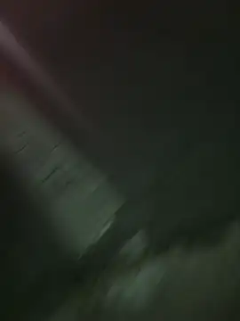 jungleangel online show from 4, 3, 2025