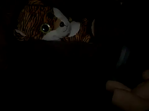 SlimeCrownzOut5 online show from 17, 11, 2025