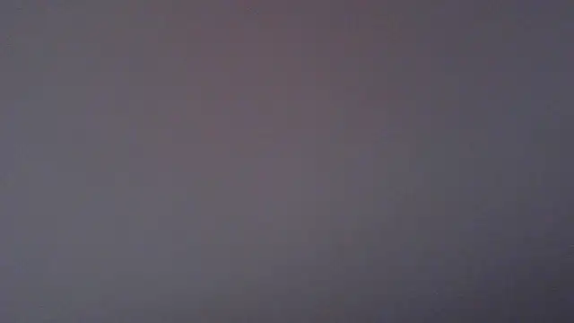 paytonkelly online show from 6, 4, 2026