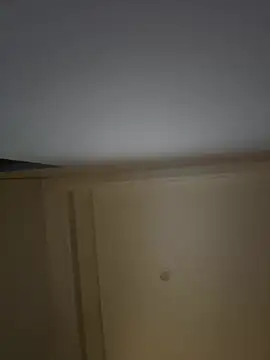 palzkybi123 online show from 1, 3, 2026