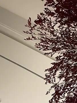 Snapshot of palzkybi123 chatting on 22, 10, 2025 palzkybi123 online show from 22, 10, 2025