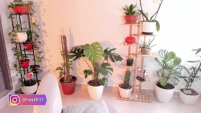 rossth1 online show from 11, 11, 2025