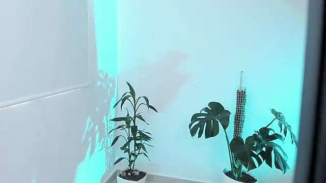 rossth1 online show from 20, 3, 2026