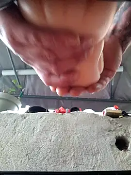 RomWoolf online show from 10, 3, 2025