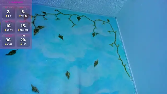 SaturnooStonee online show from 8, 3, 2026