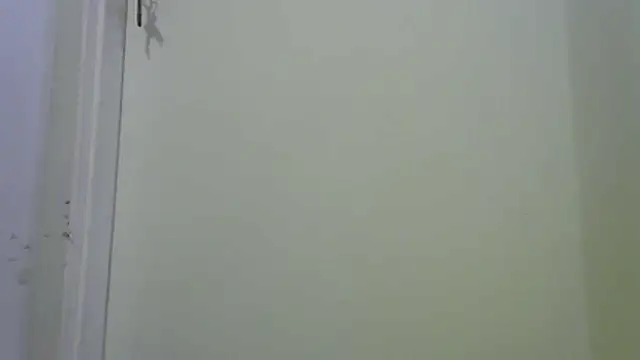 funguybr36 online show from 22, 2, 2026