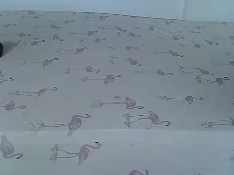 laetitia  online show from 2, 3, 2026