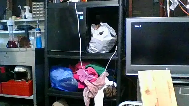 allissonw13 online show from 5, 11, 2025