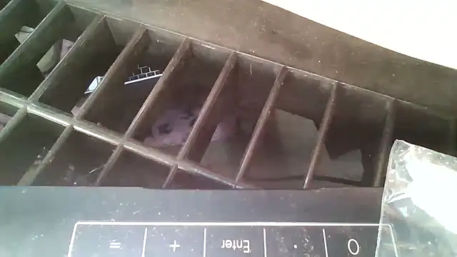 allissonw13 online show from 23, 10, 2025