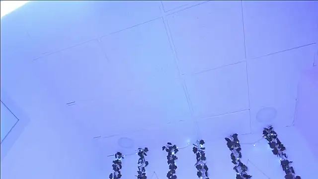 Snapshot of SophieHill_gh chatting on 16, 1, 2025 SophieHill gh online show from 16, 1, 2025