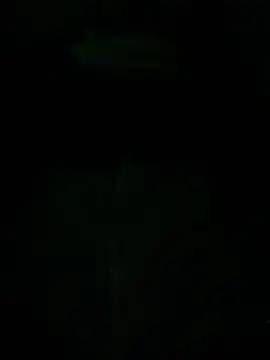 Txkng98 online show from 14, 3, 2025