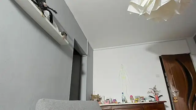 Snapshot of SexxyMeriem chatting on 17, 11, 2025 SexxyMeriem online show from 17, 11, 2025