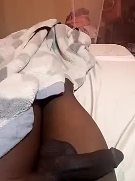 cranes293 online show from 29, 12, 2024