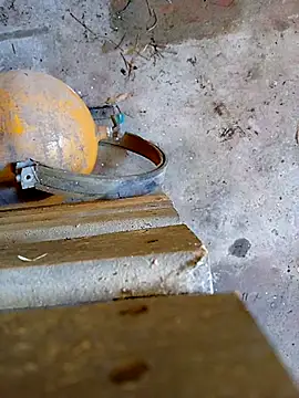 Din0071 online show from 7, 1, 2026