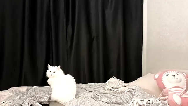 vse horosho online show from 24, 9, 2025