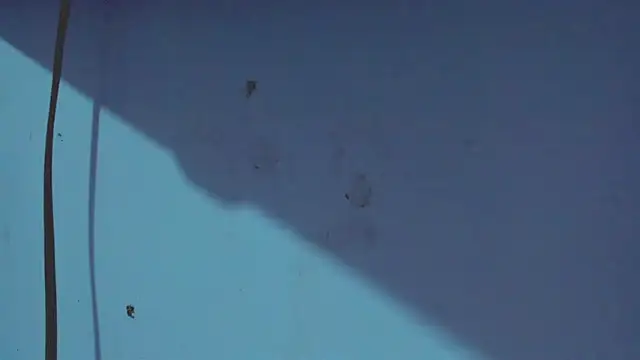 Kimberly thompsom online show from 31, 1, 2025