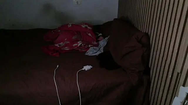 Dedel199 online show from 29, 11, 2025