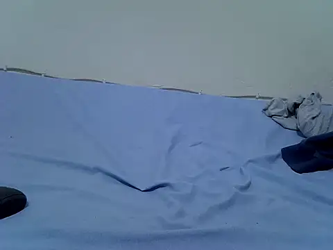 pointy bloom online show from 10, 11, 2025