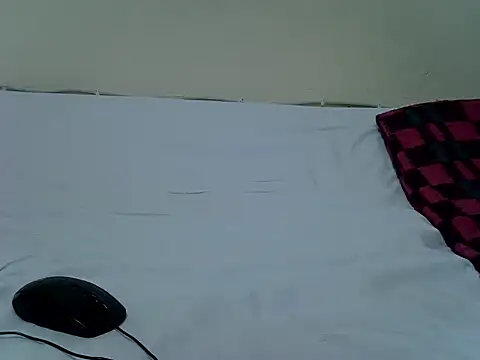 pointy bloom online show from 14, 11, 2025