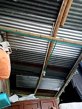 Janle 19c online show from 14, 9, 2025