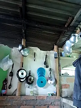 Janle 19c online show from 4, 12, 2024