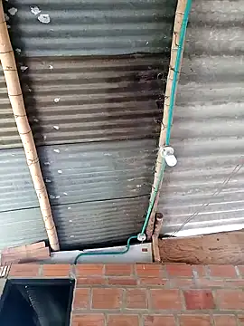 Janle 19c online show from 6, 12, 2024