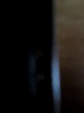 SpiceLea online show from 29, 11, 2025