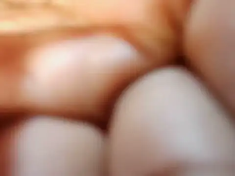 petitev online show from 15, 11, 2025